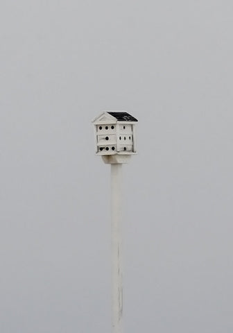 "Birdhouse" Morning Fog