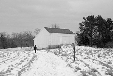 January Walk, Squire Valleevue Farm