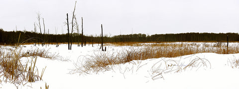 "Winter's Sweep"  Panorama 11"x30"